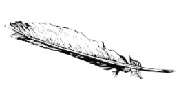 feather