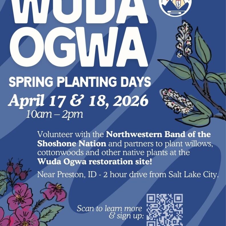 Wuda Ogwa Spring Planting Days