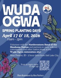Wuda Ogwa Spring Planting Days
