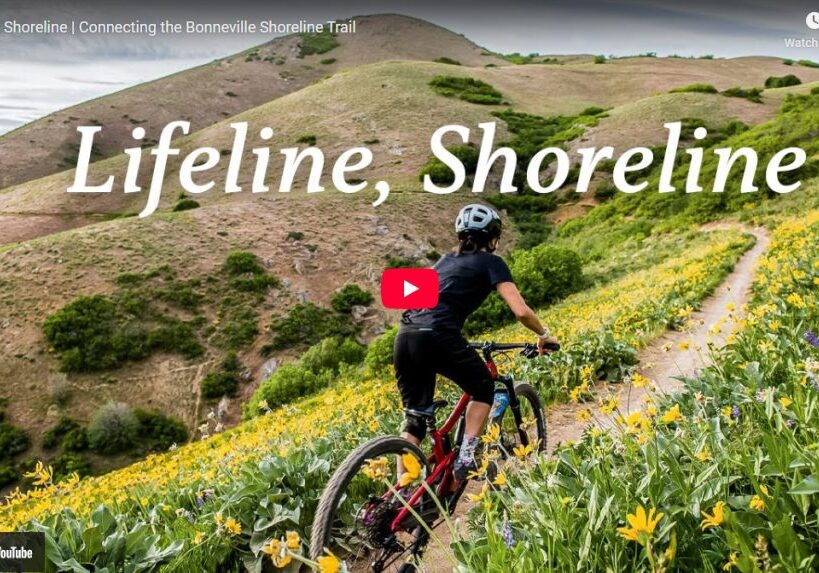 lifeline shoreline trail